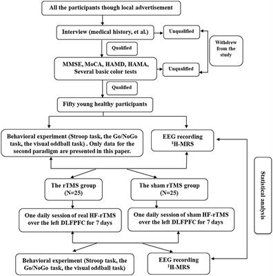 High-frequency rTMS over the left DLPFC improves the response inhibition control of young healthy participants: an ERP combined 1H-MRS study